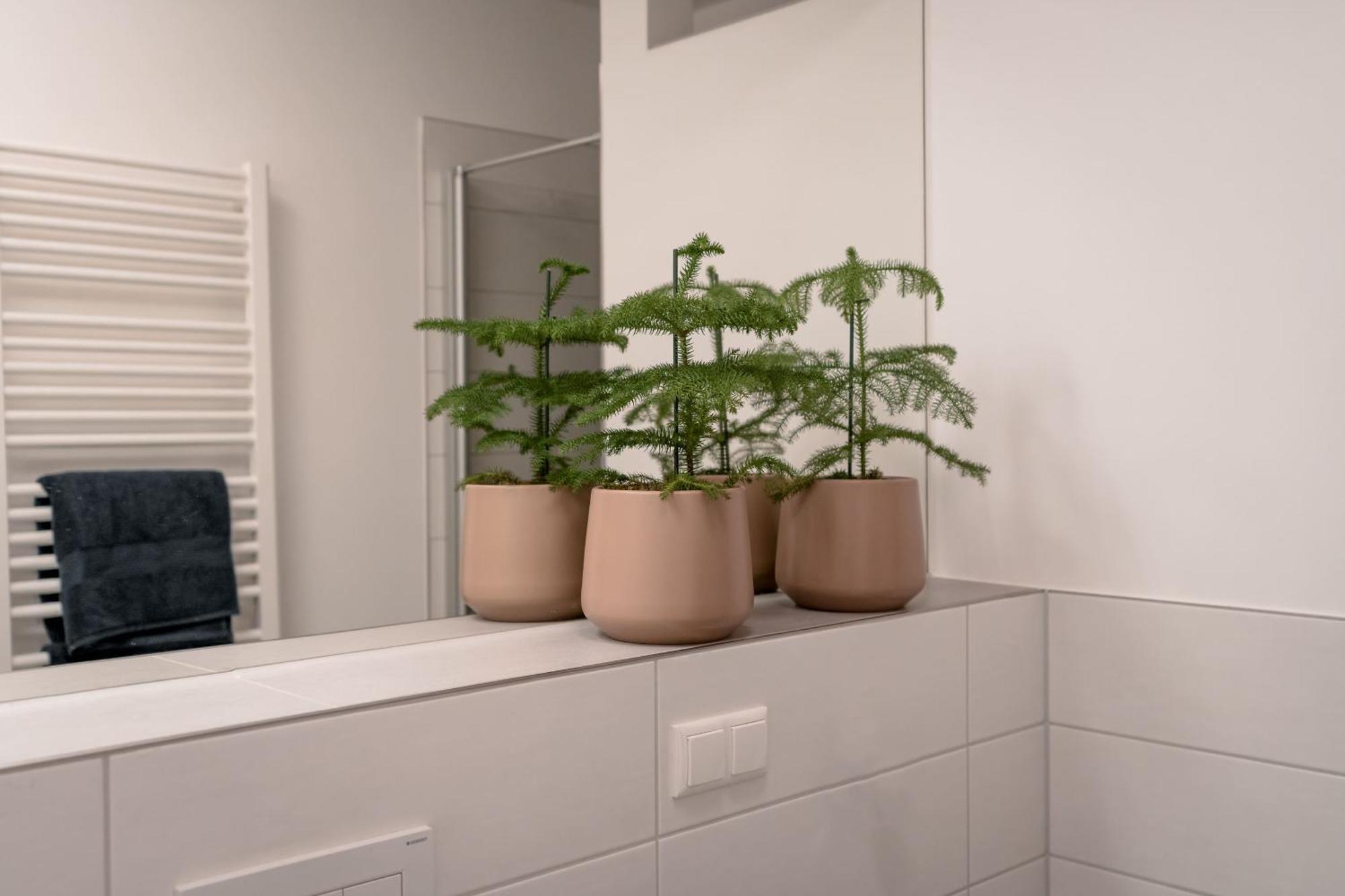 Ferienwohnung Altstadt ريغنسبورغ المظهر الخارجي الصورة